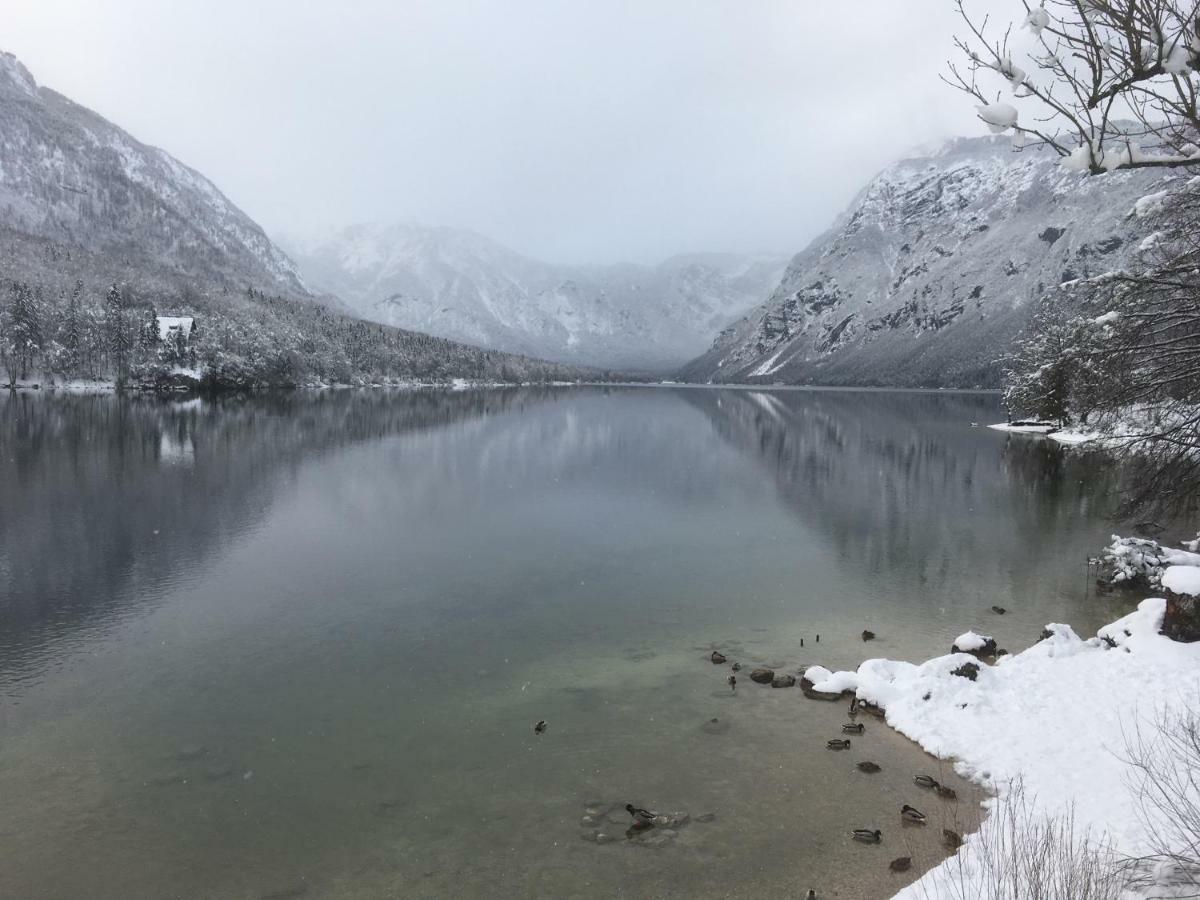 Casa Bohinj Lägenhet Exteriör bild